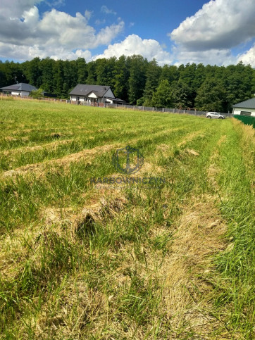 Działka Sprzedaż Grzepnica 3