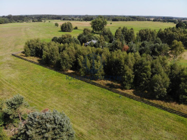 Działka Sprzedaż Dzisna