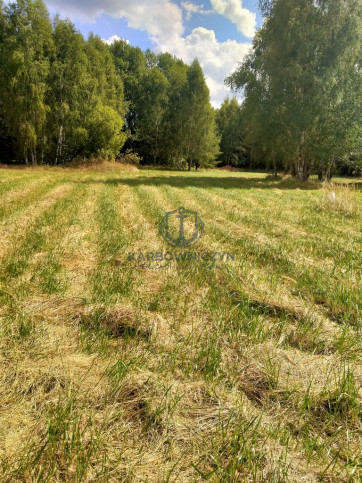 Działka Sprzedaż Grzepnica 1