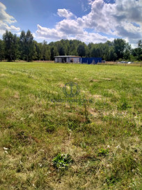 Działka Sprzedaż Grzepnica