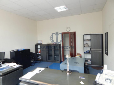 Lokal Wynajem Szczecin Śródmieście-Centrum