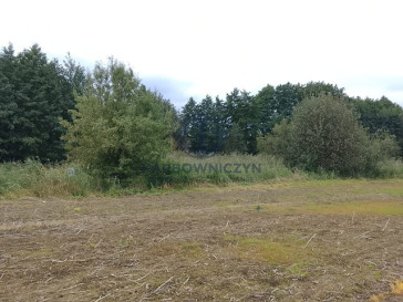Działka Sprzedaż Stara Dąbrowa