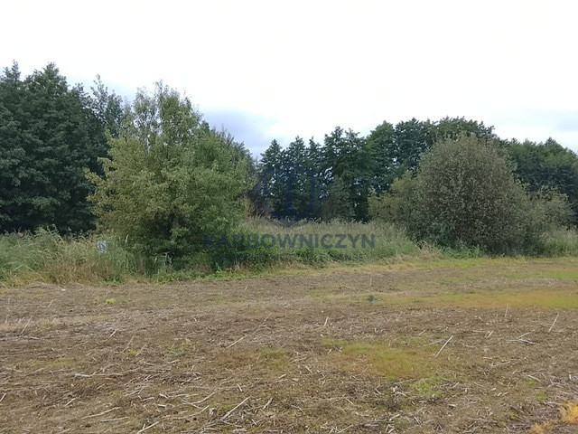 Działka Sprzedaż Stara Dąbrowa 13