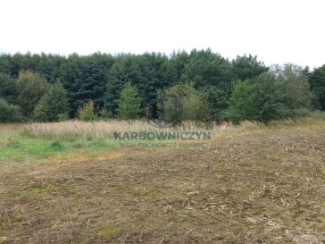 Działka Sprzedaż Stara Dąbrowa