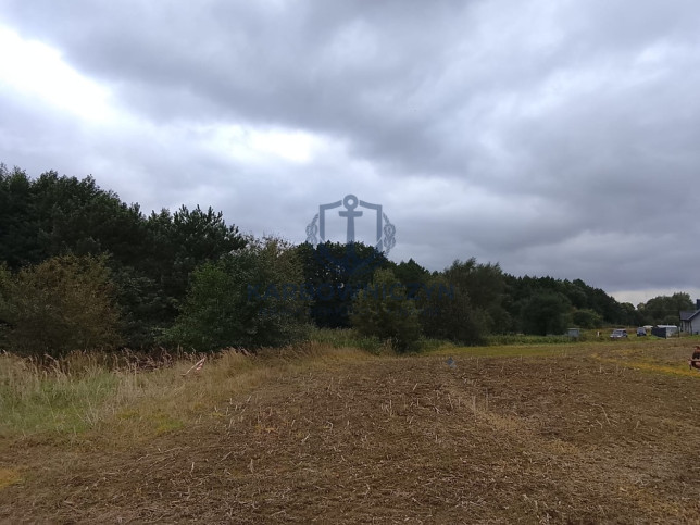 Działka Sprzedaż Stara Dąbrowa 16