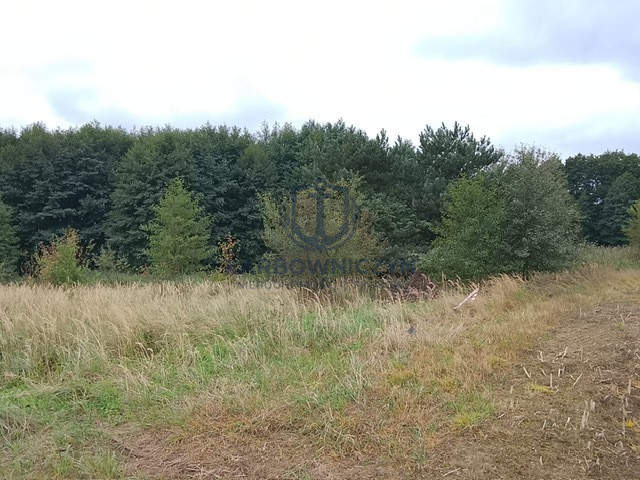 Działka Sprzedaż Stara Dąbrowa 19