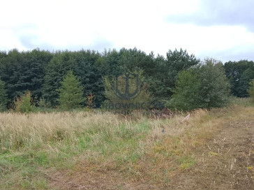 Działka Sprzedaż Stara Dąbrowa