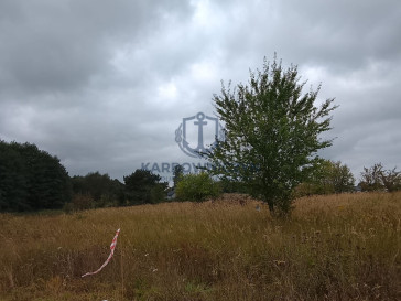 Działka Sprzedaż Stara Dąbrowa