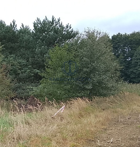 Działka Sprzedaż Stara Dąbrowa 23
