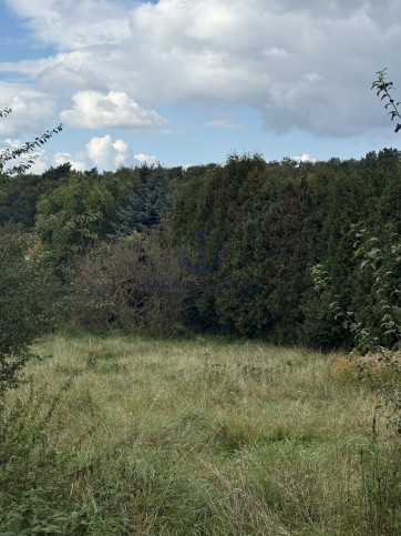 Działka Sprzedaż Szczecin Pilchowo 1