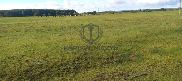 Działka Sprzedaż Borzysławiec 3