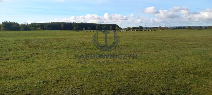 Działka Sprzedaż Borzysławiec 6