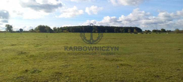 Działka Sprzedaż Borzysławiec 1