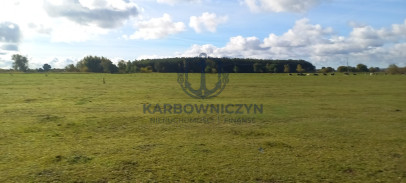 Działka Sprzedaż Borzysławiec