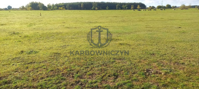 Działka Sprzedaż Borzysławiec