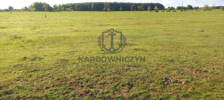 Działka Sprzedaż Borzysławiec 2