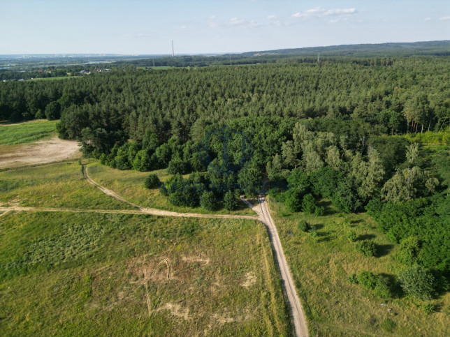 Działka Sprzedaż Daleszewo 2