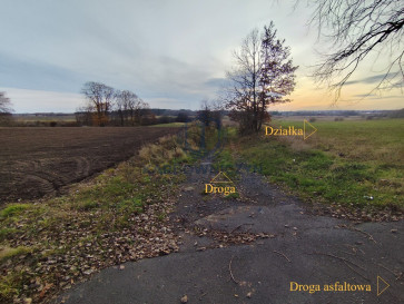 Działka Sprzedaż Wojcieszyn