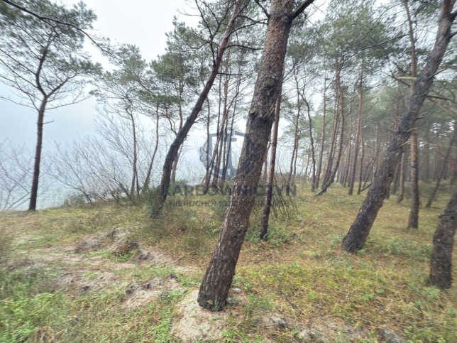 Mieszkanie Sprzedaż Międzywodzie Westerplatte 17