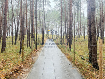 Mieszkanie Sprzedaż Międzywodzie Westerplatte
