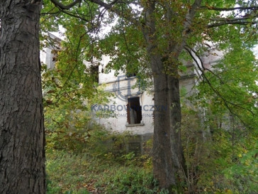 Dom Sprzedaż Wierzbięcin