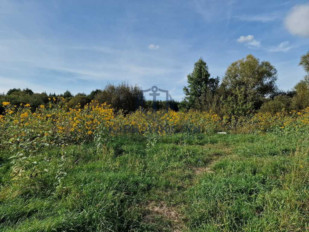 Działka Sprzedaż Starościn