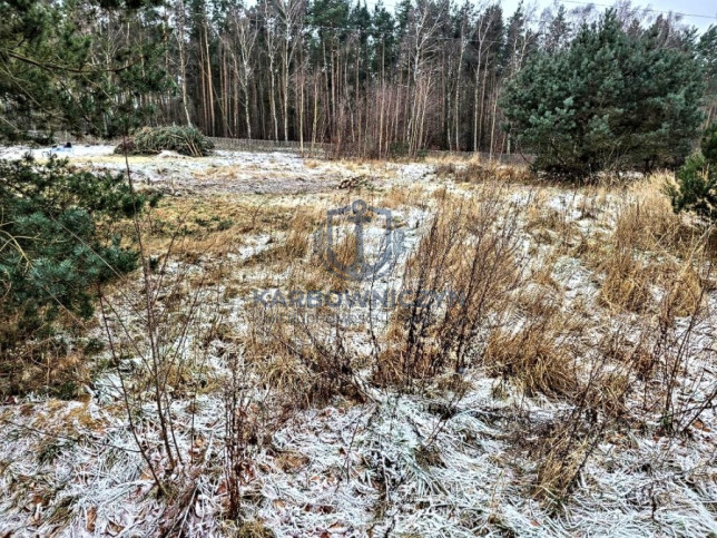Działka Sprzedaż Dargobądz 2