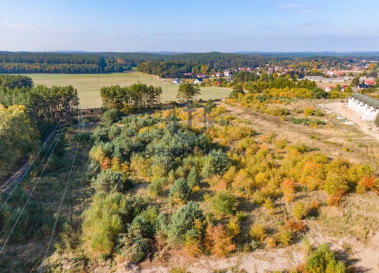Działka Sprzedaż Dargobądz
