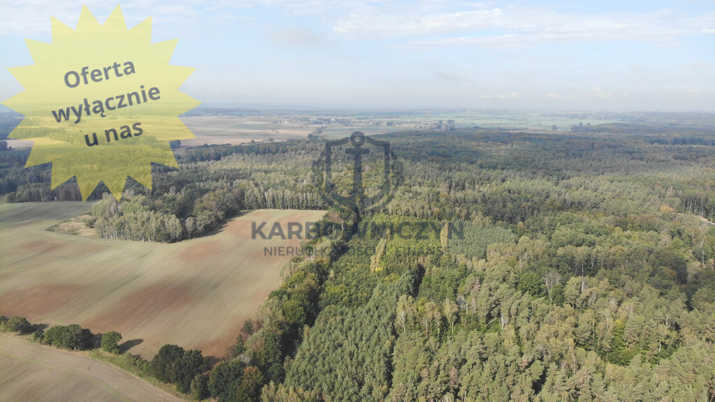 Działka Sprzedaż Rów