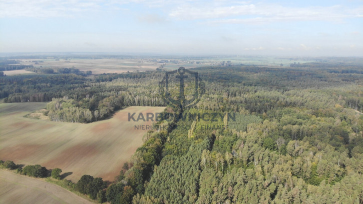 Działka Sprzedaż Rów 1