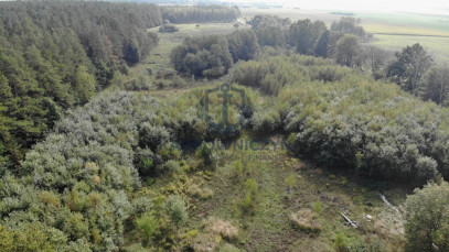 Działka Sprzedaż Rów