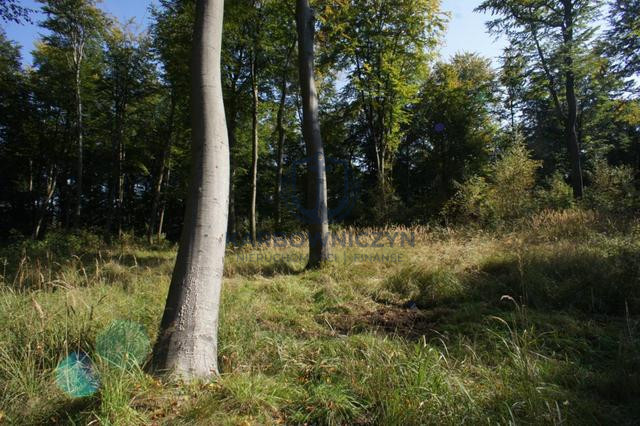 Działka Sprzedaż Dobra 3
