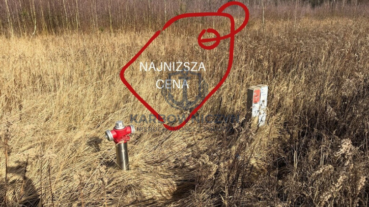 Działka Sprzedaż Żółwia Błoć 1