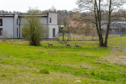 Działka Sprzedaż Tanowo Dębowa