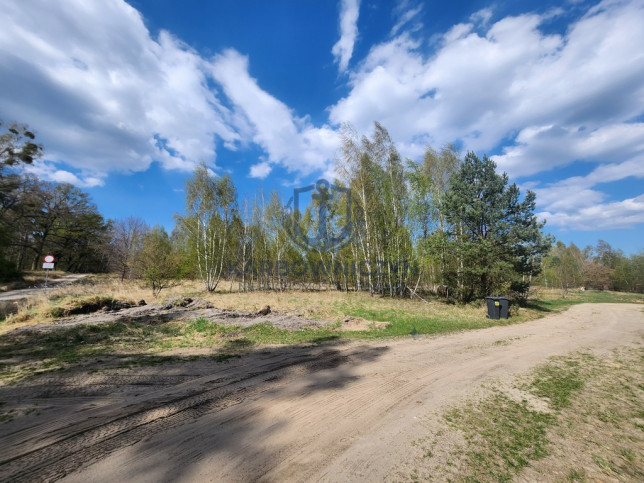 Działka Sprzedaż Grzepnica 3