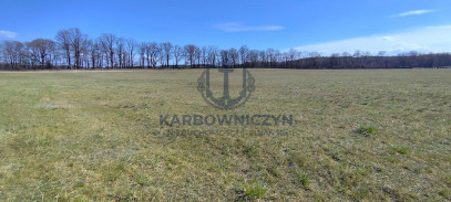 Działka Sprzedaż Zabierzewo