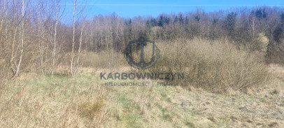 Działka Sprzedaż Linówko