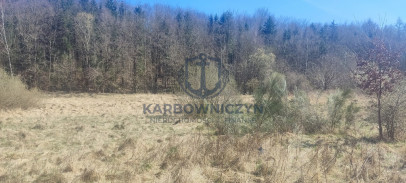 Działka Sprzedaż Linówko