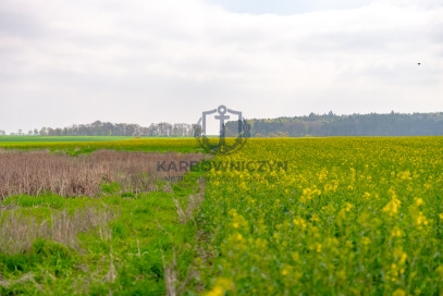 Działka Sprzedaż Pyrzyce