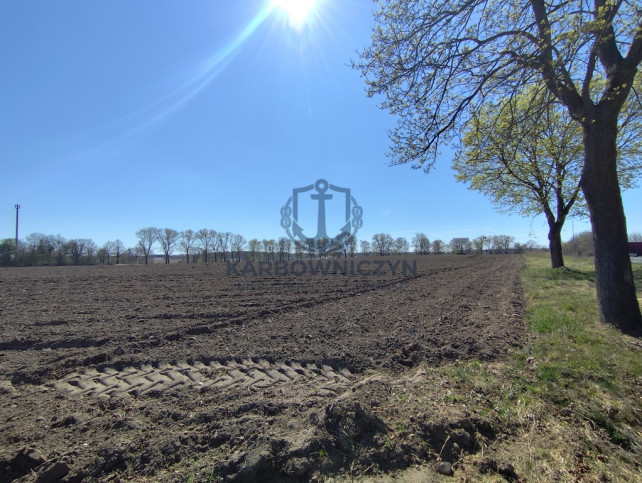 Działka Sprzedaż Wojcieszyn 2