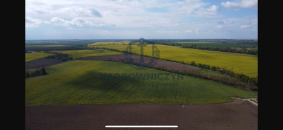 Działka Sprzedaż Pyrzyce