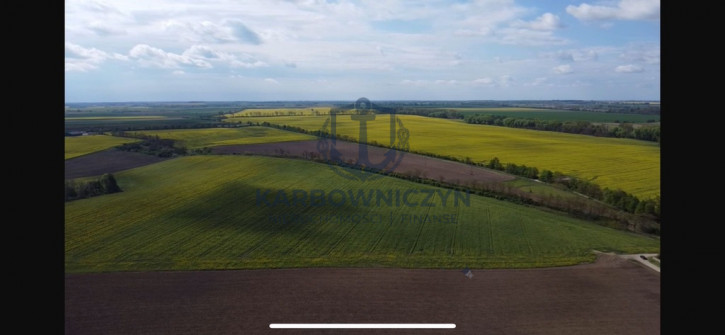 Działka Sprzedaż Pyrzyce 3