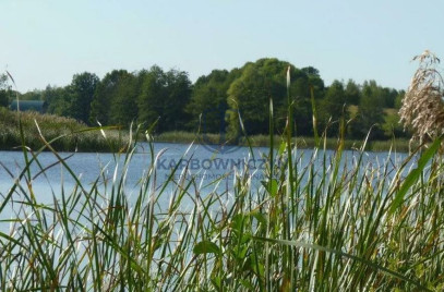 Działka Sprzedaż Zieleniewo