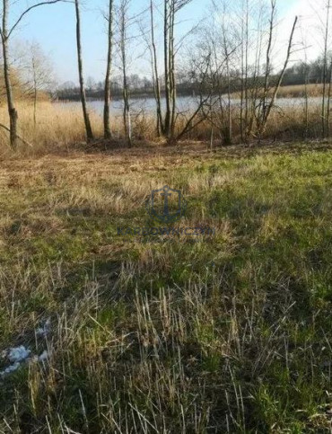 Działka Sprzedaż Kaszewo 2
