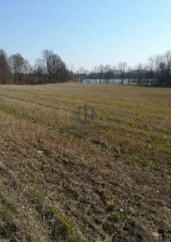 Działka Sprzedaż Kaszewo