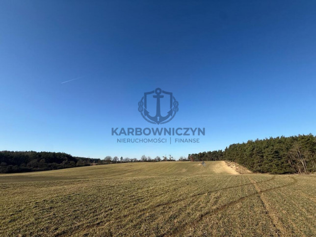 Działka Sprzedaż Buk 1