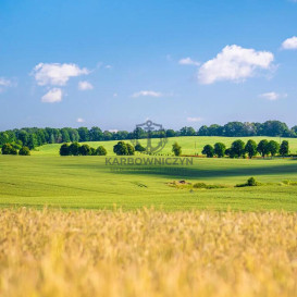 Działka Sprzedaż Przemocze