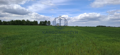 Działka Sprzedaż Bagna