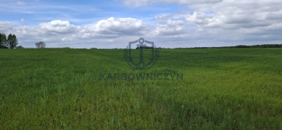 Działka Sprzedaż Bagna