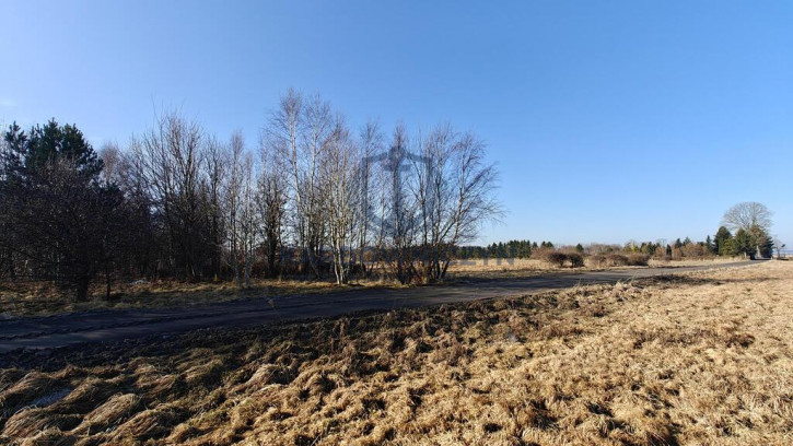 Działka Sprzedaż Koszalin Łabusz Wilków Morskich 4